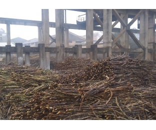 廣西來(lái)賓某堿氯法甘蔗渣制漿廠(chǎng)除COD、脫色案例分享